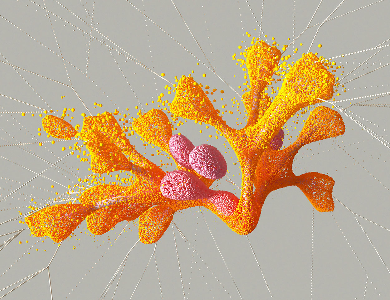 Abstract 3D digital artwork featuring an organic, coral-like structure in vivid orange and yellow tones, with clusters of pink spherical forms attached.
